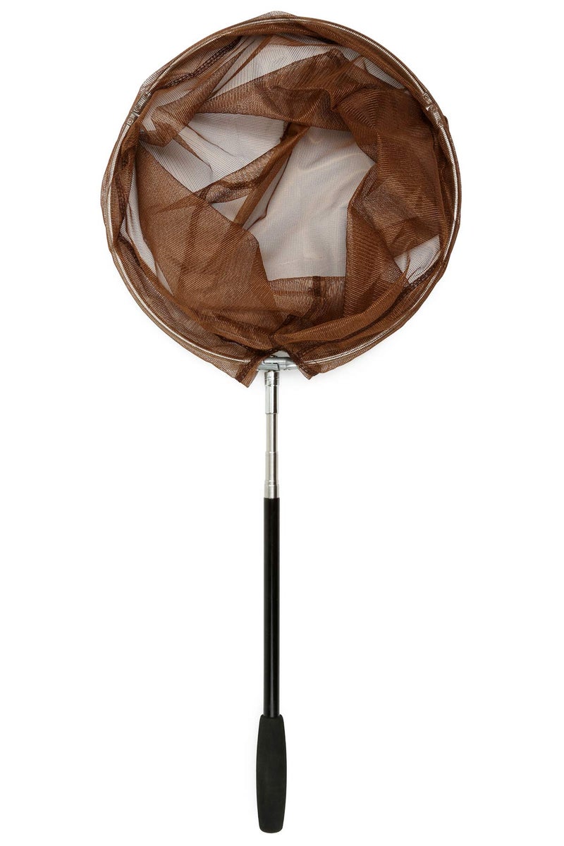 RESTCLOUD Bait Net and Fishing Landing Net with Telescoping Pole Handle Extends to 59 inches (Brown) - Image 4